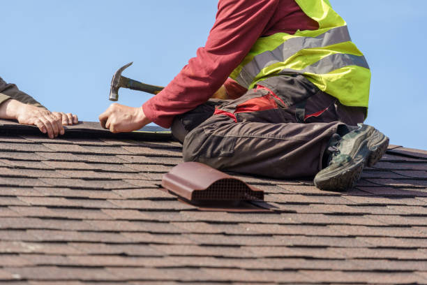 Best Roof Maintenance Services  in Toledo, IL