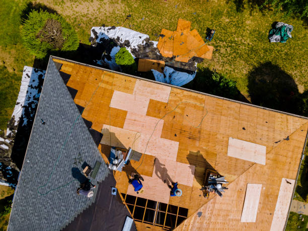 Best Emergency Roof Repair  in Toledo, IL