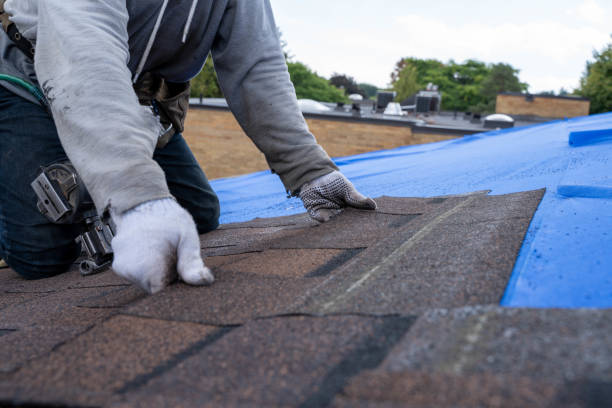 Best Best Roofing Contractors  in Toledo, IL