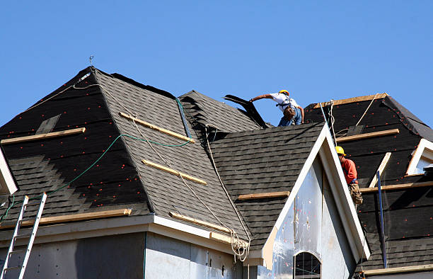 Best Storm Damage Roof Repair  in Toledo, IL