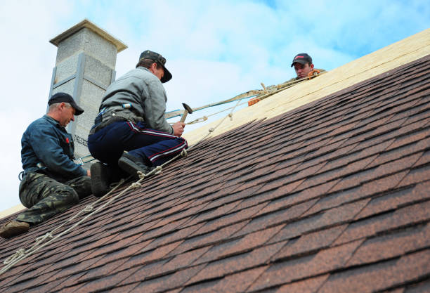 Quick and Trustworthy Emergency Roof Repair Services in Toledo, IL